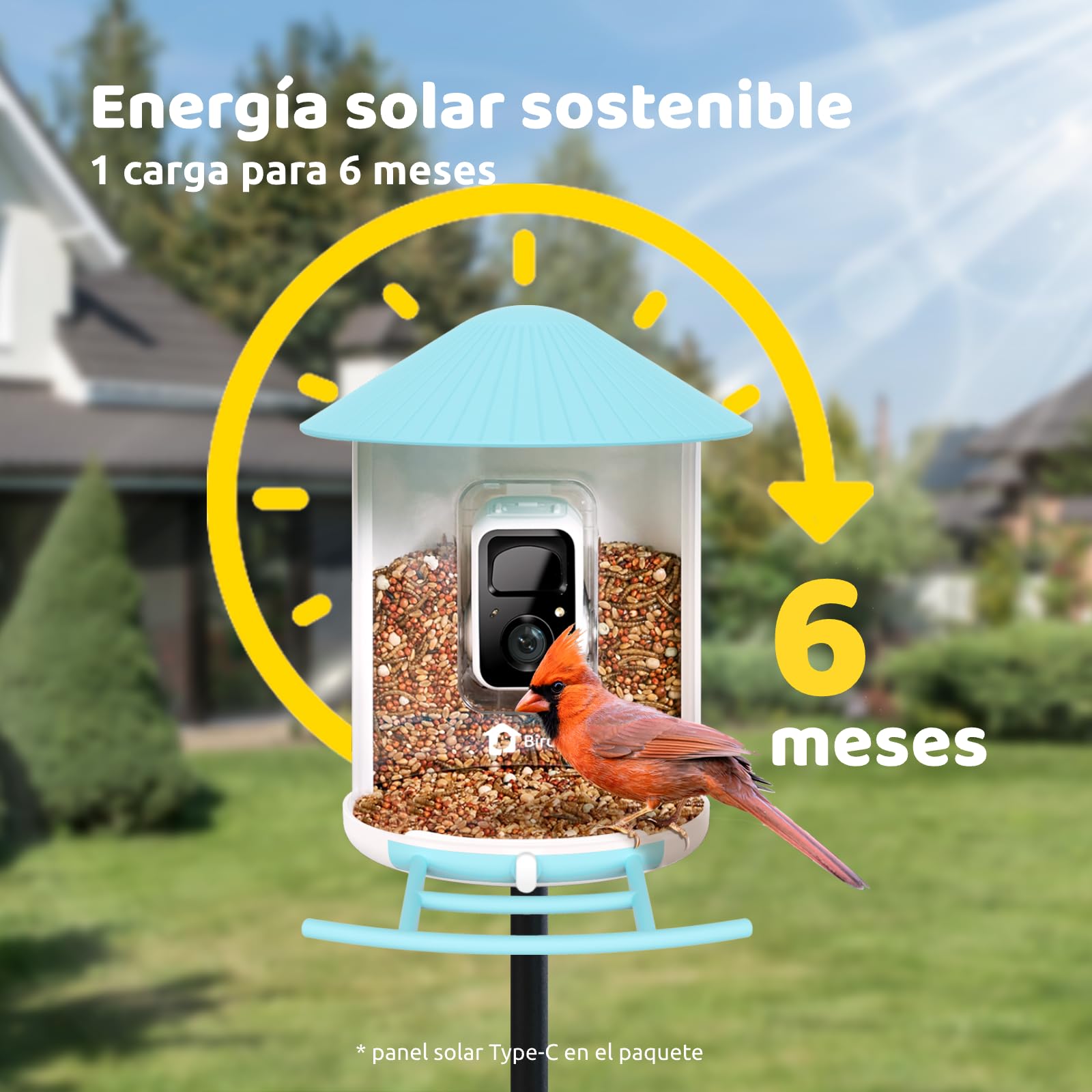 NETVUE Birdfy Pro Lite Vogelhaus mit Kamera, Vogelfutterstation mit Kamera & DIY Multifunktionsständer, Futterstationen für Wildvögel, Vogelfutterspender mit Meisenknödelhalter, Wasser/Gelee Feeder