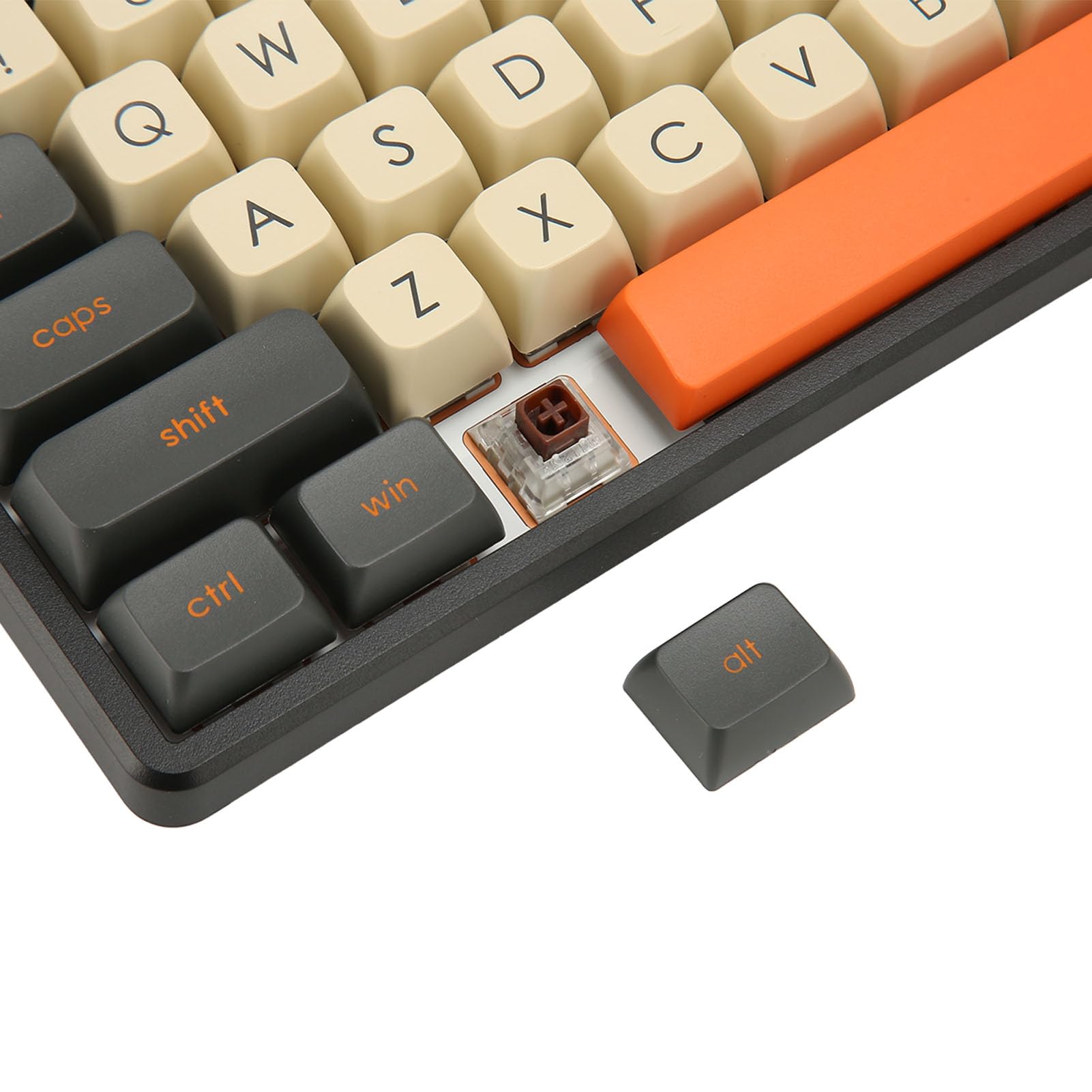 Ejoyous Tastiera Meccanica, 3 Modalità Hot Swappable RGB Gaming