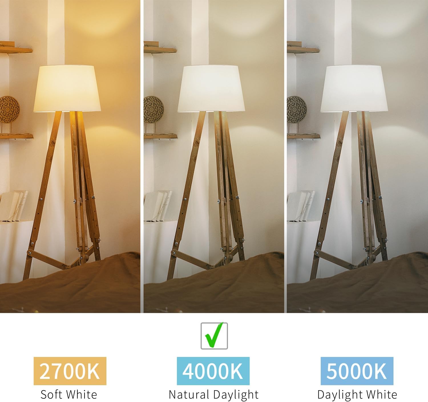 BORT ST58/ST19 Vintage LED Edison Bulbs, 6W Equivalent 60W Filament Light Bulbs, Dimmable 700LM, E26 Base LED Bulbs, Clear Plastic (Daylight White, 6 Pack)