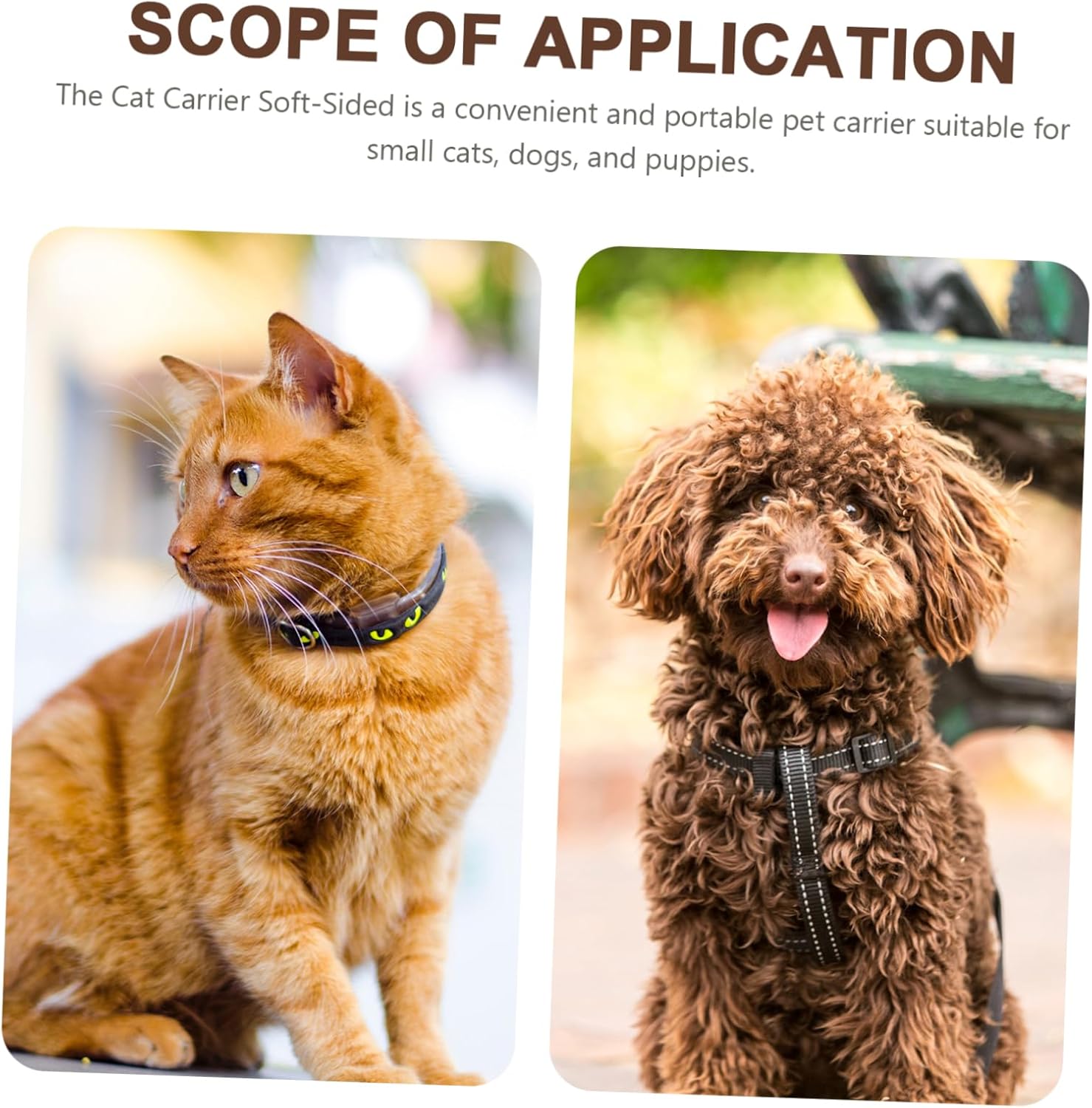 BESPORTBLE Cat Carrier Soft-Sided for Small Pets Breathable Design for Cats and Dogs Portable Pouch for Outdoor Use Comfortable and Lightweight for Hiking and Travel