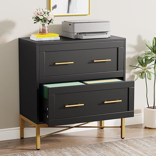 Tribesigns 2 Drawer File Cabinet, Modern Wood Lateral Filing Cabinet