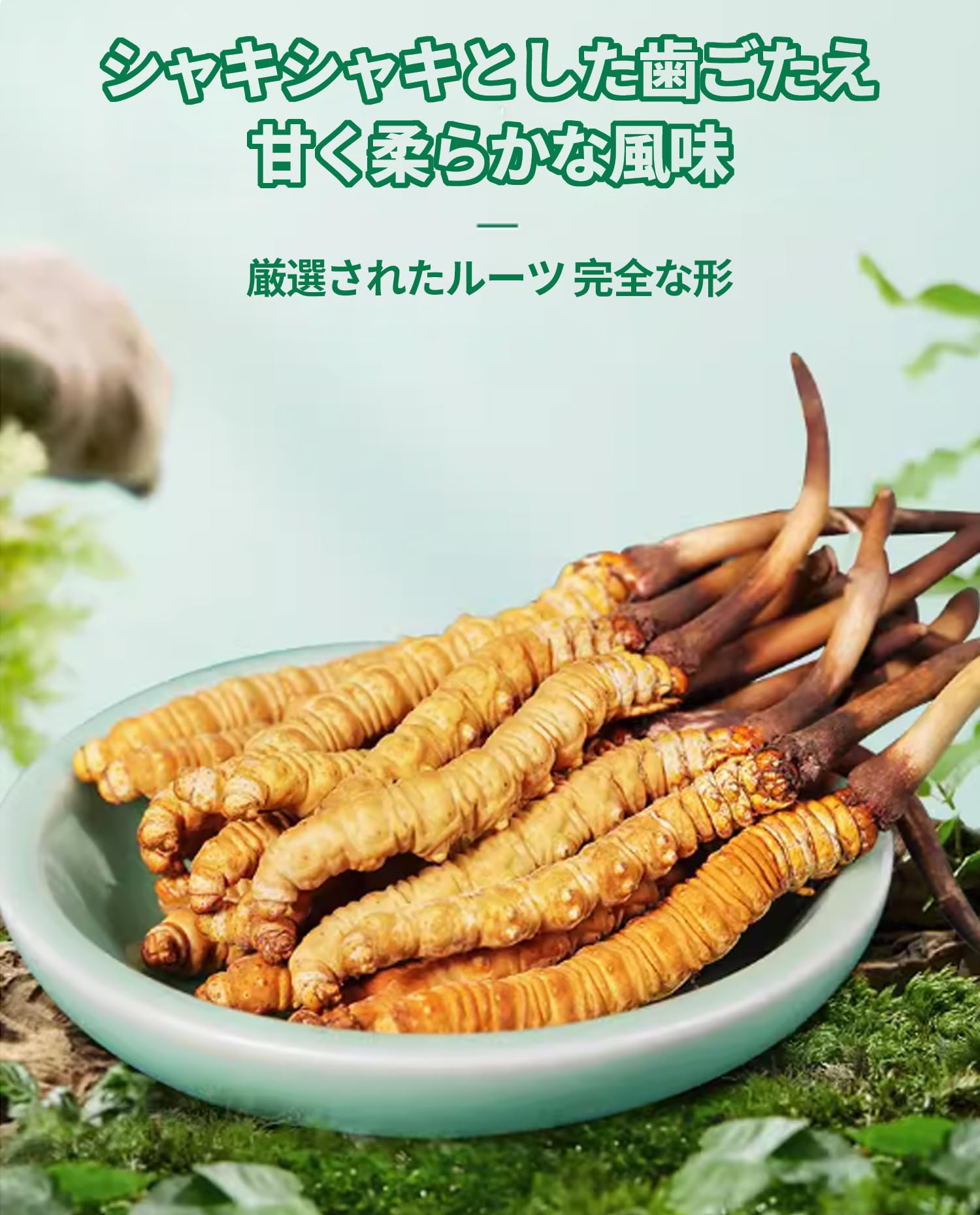 Amazon | 冬虫夏草 はっきりとした輪紋 完全な形 甘く柔らかな風味