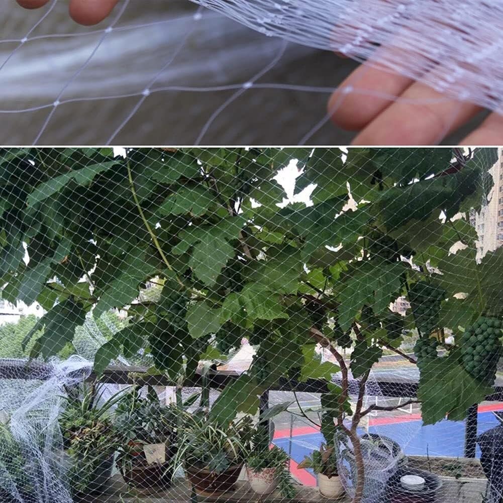 Red de pájaros de alta calidad para jardín y árboles frutales, valla de malla antipájaros para plantas, duradera y translúcida (2,5 cm, 7 m x 10 m), protege tu jardín de los pájaros