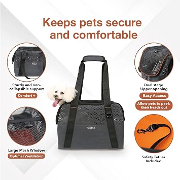 ibiyaya - Small Dog Carrier Bag - Breezy Wanderer Pet Carrier for Small Dogs, Cats, and Rabbits - Travel Friendly and Water Repellent - Up to 17 Pounds - Black