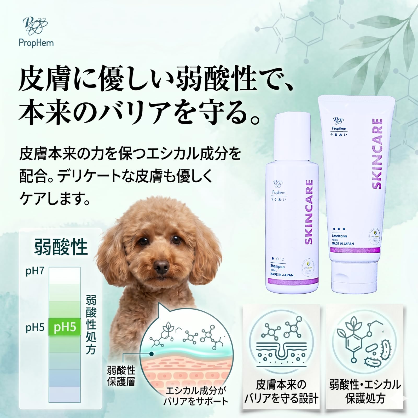 Amazon | [プロフェム] スキンケア シャンプー ＆ リンス (100ml・2026