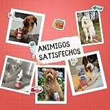 Ver la foto 8