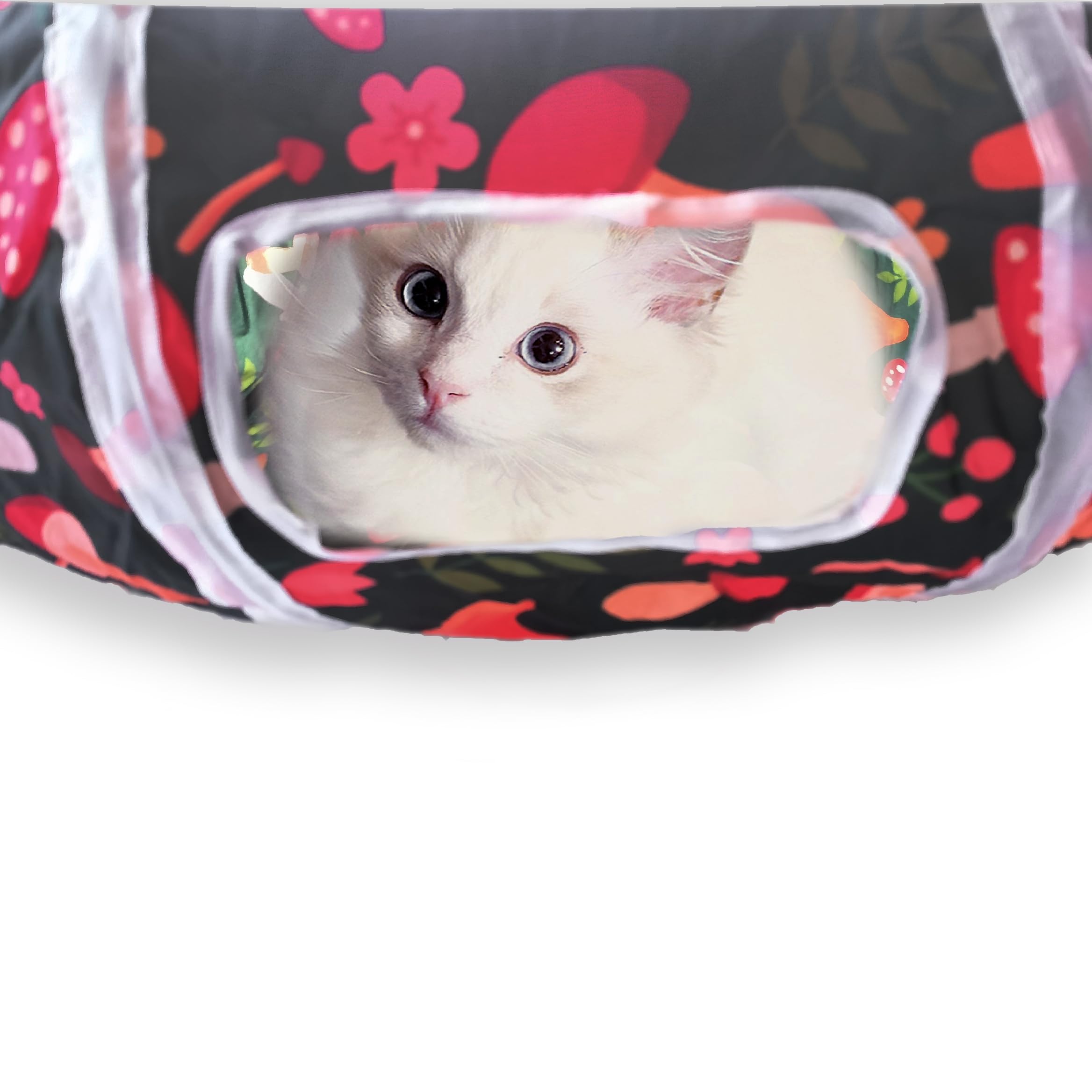 Sheldamy 2-Way Cat Tunnel - Collapsible Play Tunnel With Play Ball For Indoor Cats & Kittens (Rainbow) - View #2