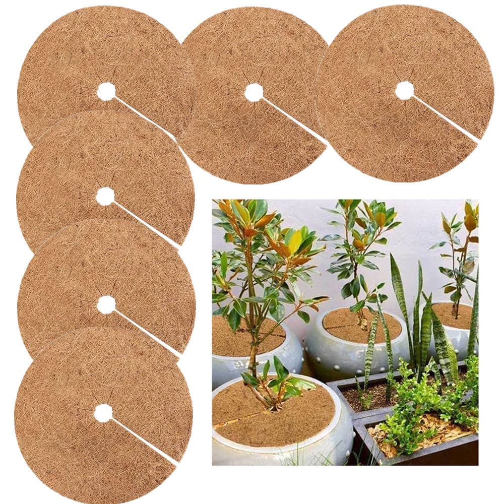 たんたんさま専用　ココスヤシ　ダブルヘッド　6鉢セット Amazon | ココヤシマット 6枚入り 園芸 ヤシマット 丸型 雑草成長抑制