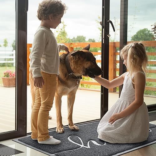 Miniatura 9 de BeneathYourFeet - Tapete de bienvenida de bajo relieve, de puerta delantera, interior y exterior, alfombras antideslizantes para entrada, patio