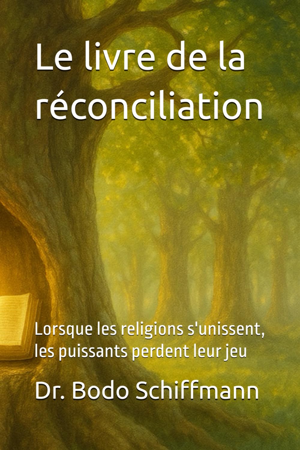Le livre de la réconciliation: Lorsque les religions s'unissent, les puissants perdent leur jeu