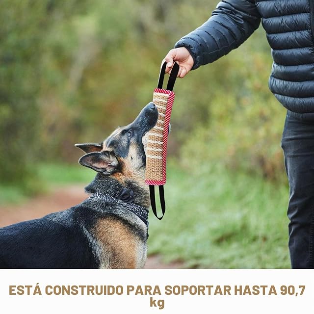 Foto 5 de 7 de BORDEAG Salchichas mordedoras para Perros: 2 Piezas de Yute de 30 cm con 2 Asas