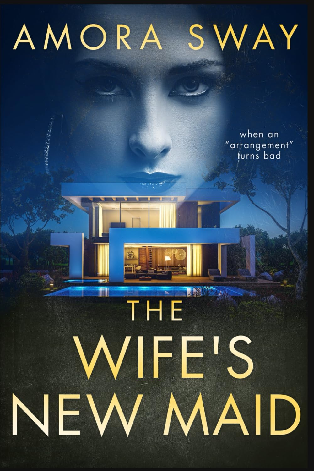 The Wife's New Maid (THE MAID SERIES)