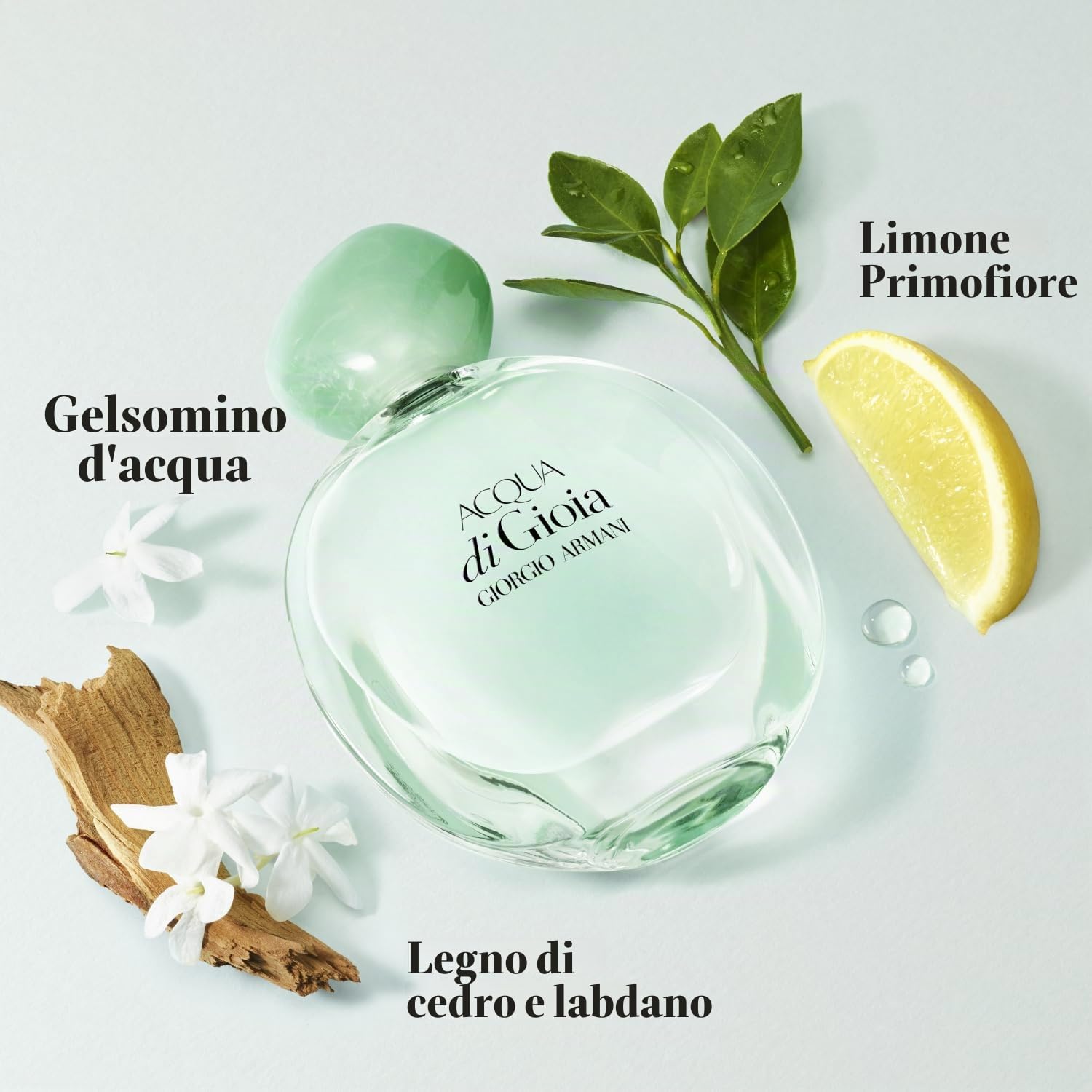 Giorgio Armani Acqua di Gioia Eau de Parfum, Donna, 100 ml