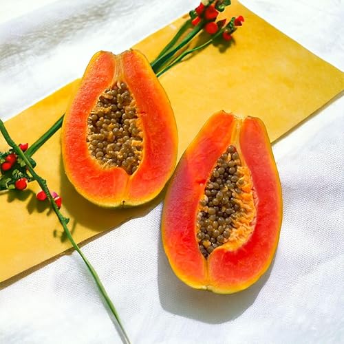 Miniatura 3 de NiRwa 50 semillas de papaya cremosas de corazón rojo, lo mejor de las papayas para el jardín de tu hogar, frutas ricas, dulces y llenas de nutrientes