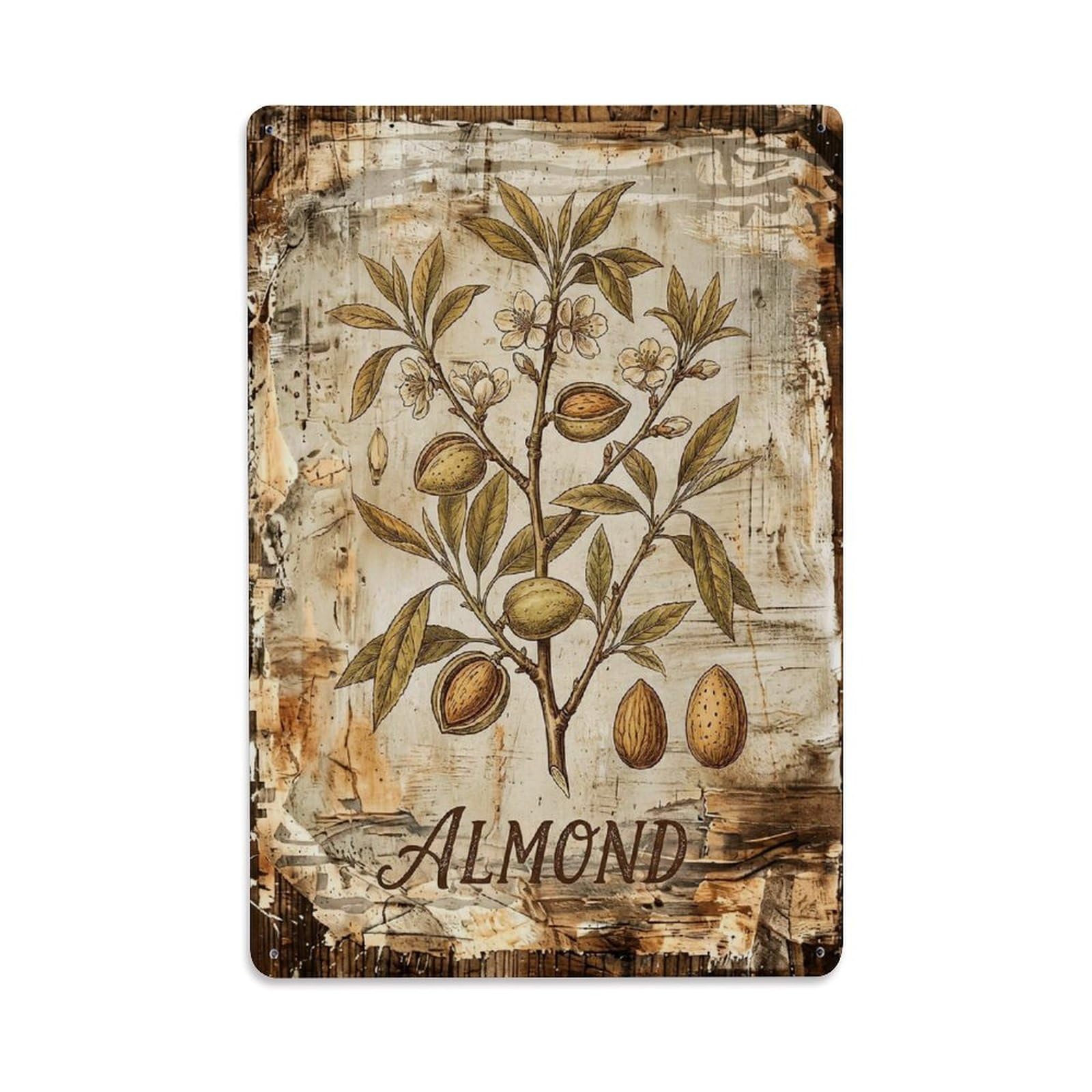 Almond Tree Nut 1 Vintage Metal Tin Sign Plaque Wall Decor for Cafe, Club, Garden Metal Poster 8x12Inch