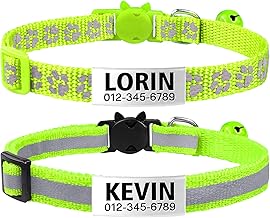 kitten collar with name tag