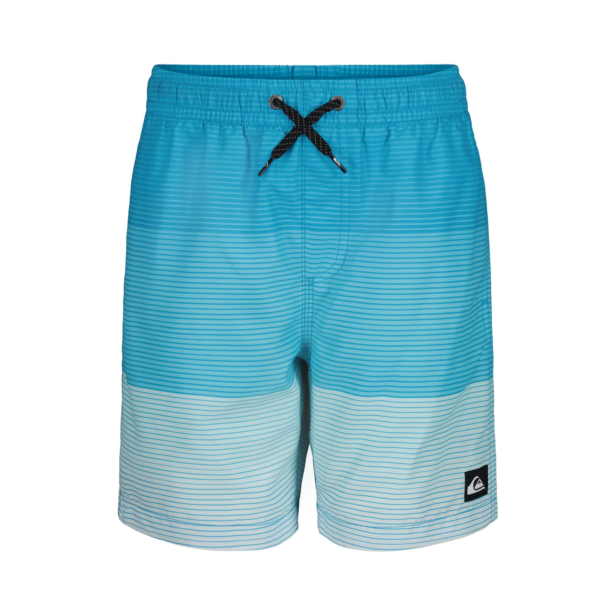 Quiksilver Boys' Volley Swim Trunks