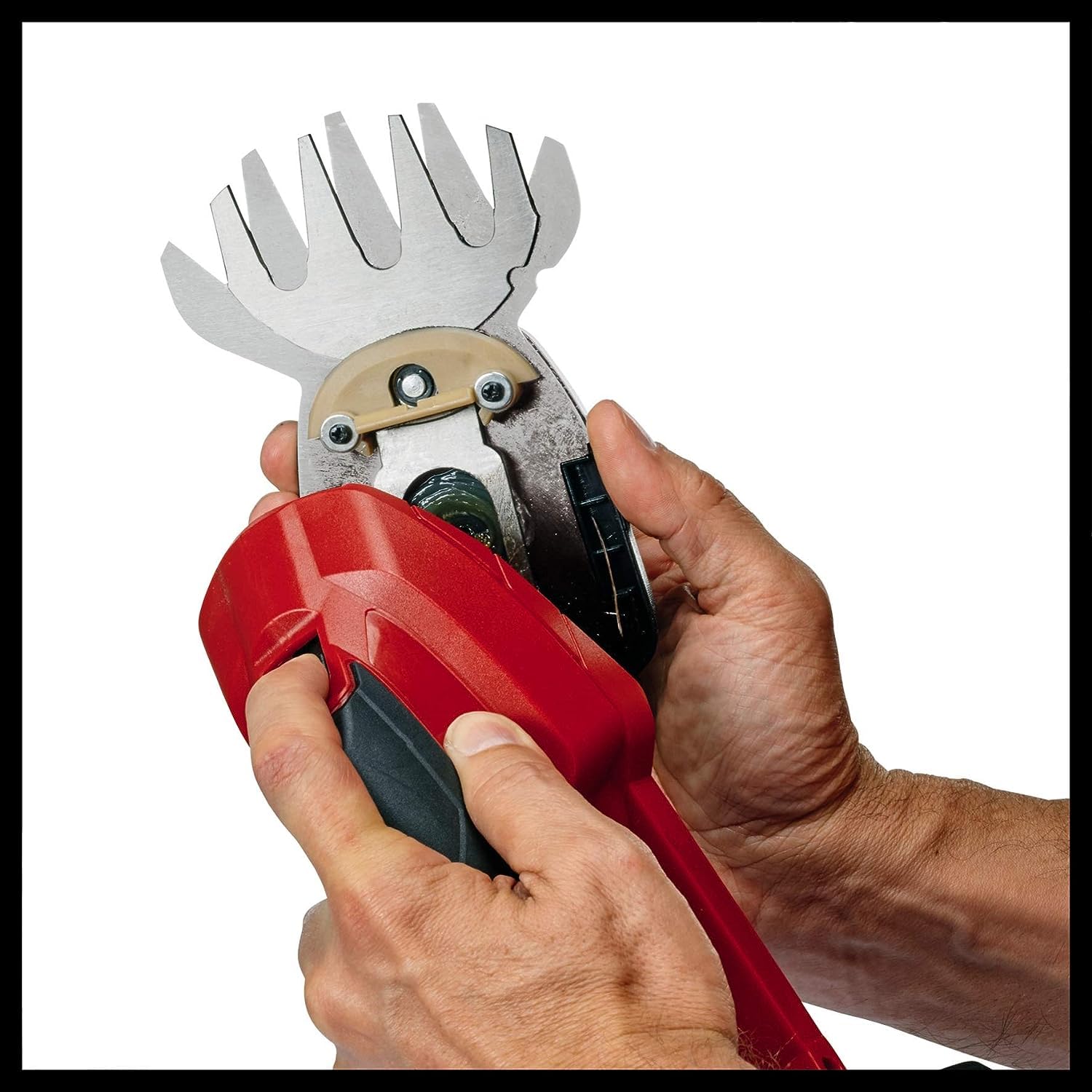 Einhell Cisaille à Gazon et Taille-buissons sans Fil GC-CG 18 Li Solo - Système Power X-Change (18 V, Largeur de Coupe 20 cm, Livré avec Accessoires) – Verso Solo Livre sans Batterie NI Chargeur