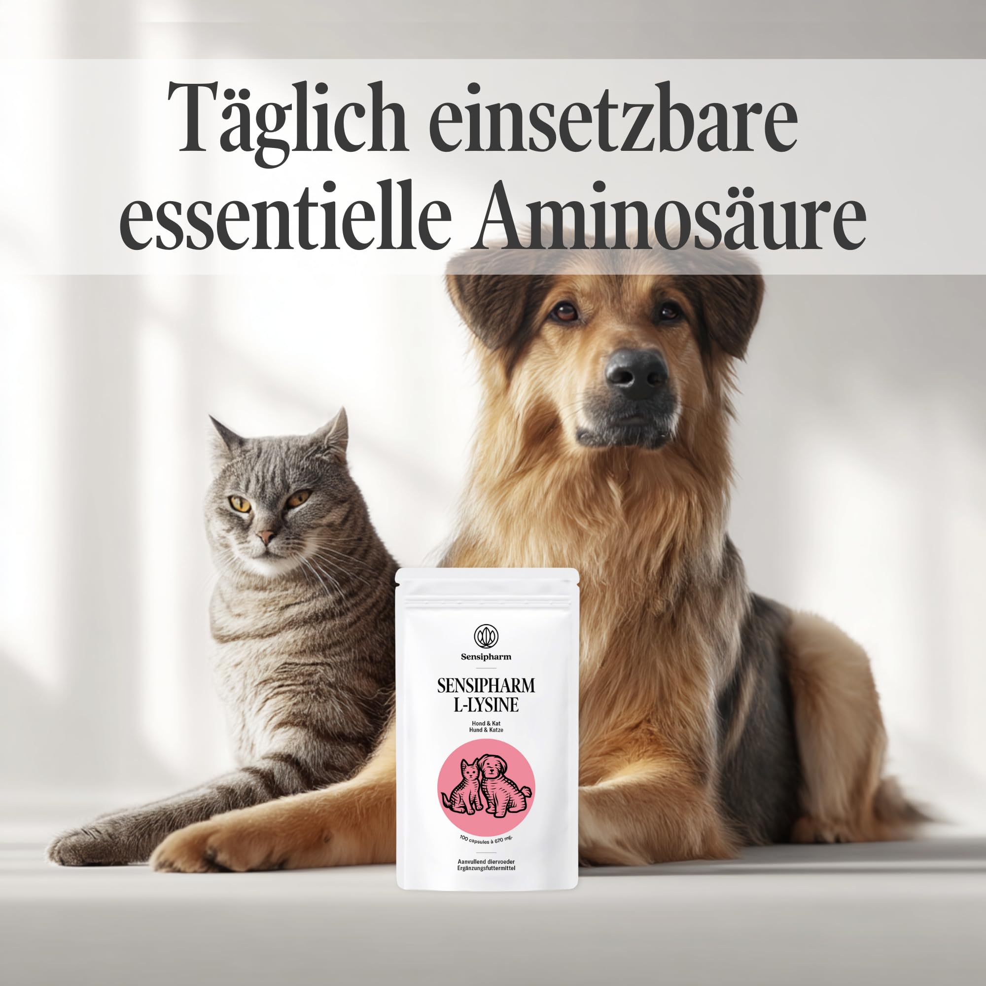 L-lisina per cani e gatti – Capsule di L-lisina ad alto dosaggio 670 mg per sostenere il sistema immunitario – Alimenti complementari amminoacidi – 100 capsule
