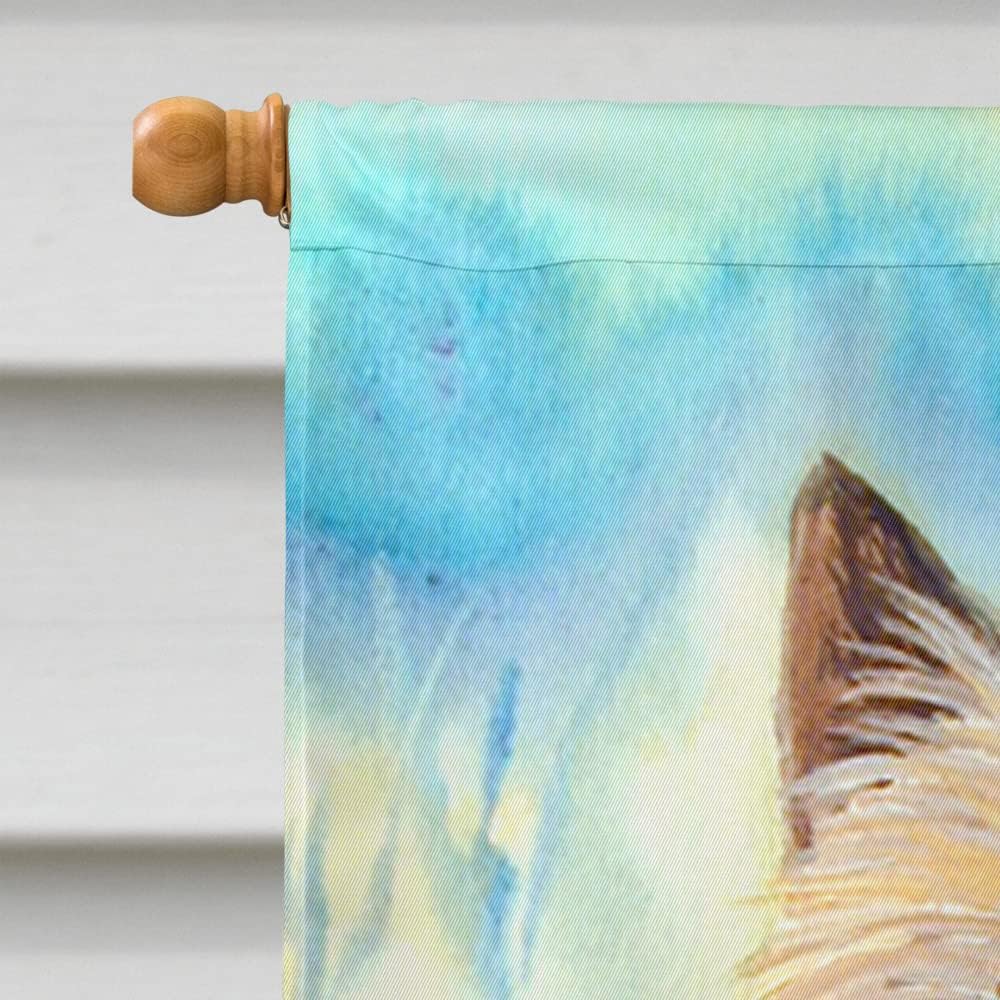 Caroline's Treasures 7238CHF Cairn Terrier House Flag Large Porch Sleeve Pole Decorative Outside Yard Banner Artwork Wall Hanging, Polyester, House Size, Multicolor