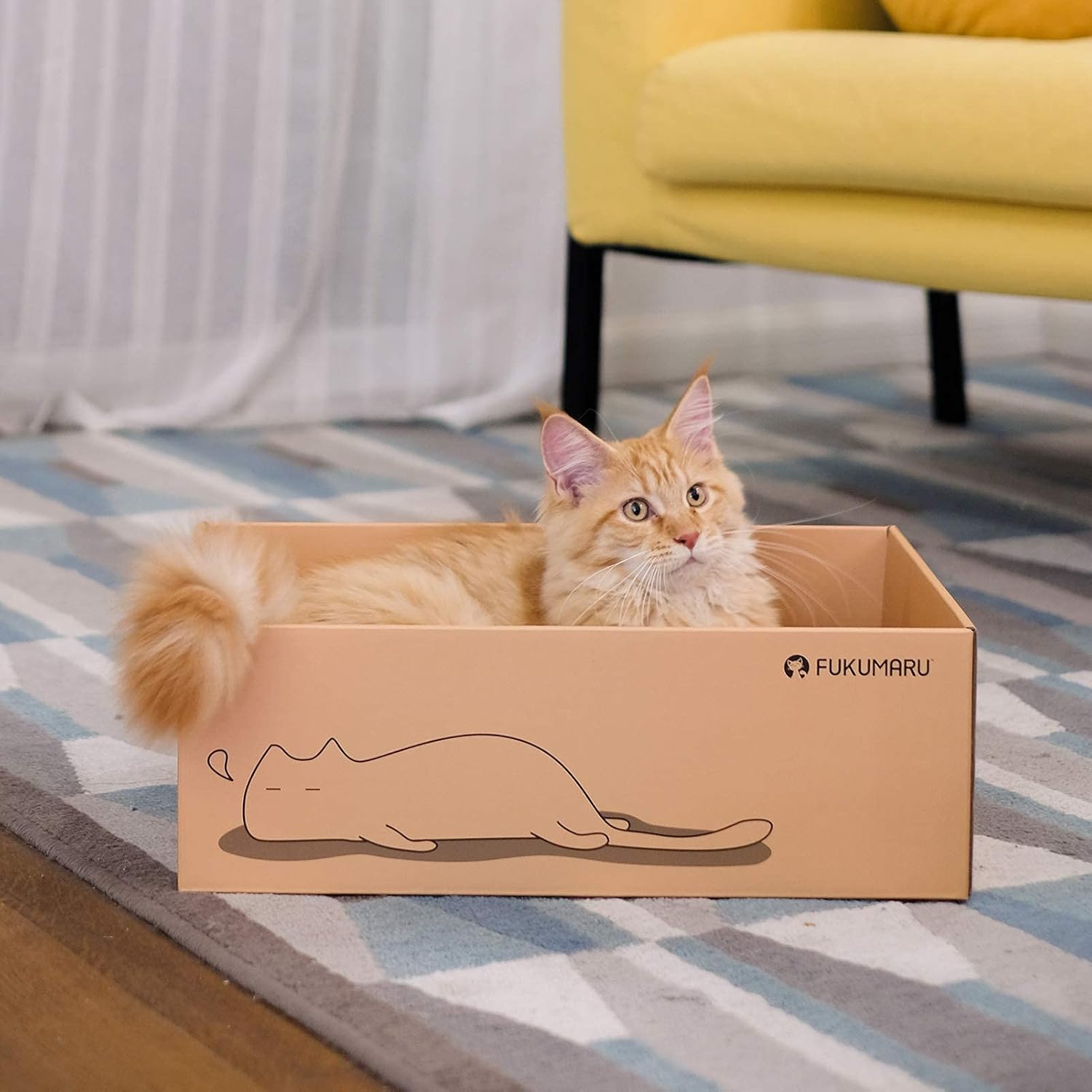 FUKUMARU Cat Scratcher Cardboard 5 PCS with Box, Reversible Cat Scratch Pad, Kitty Corrugated Scratching Bed : Pet Supplies