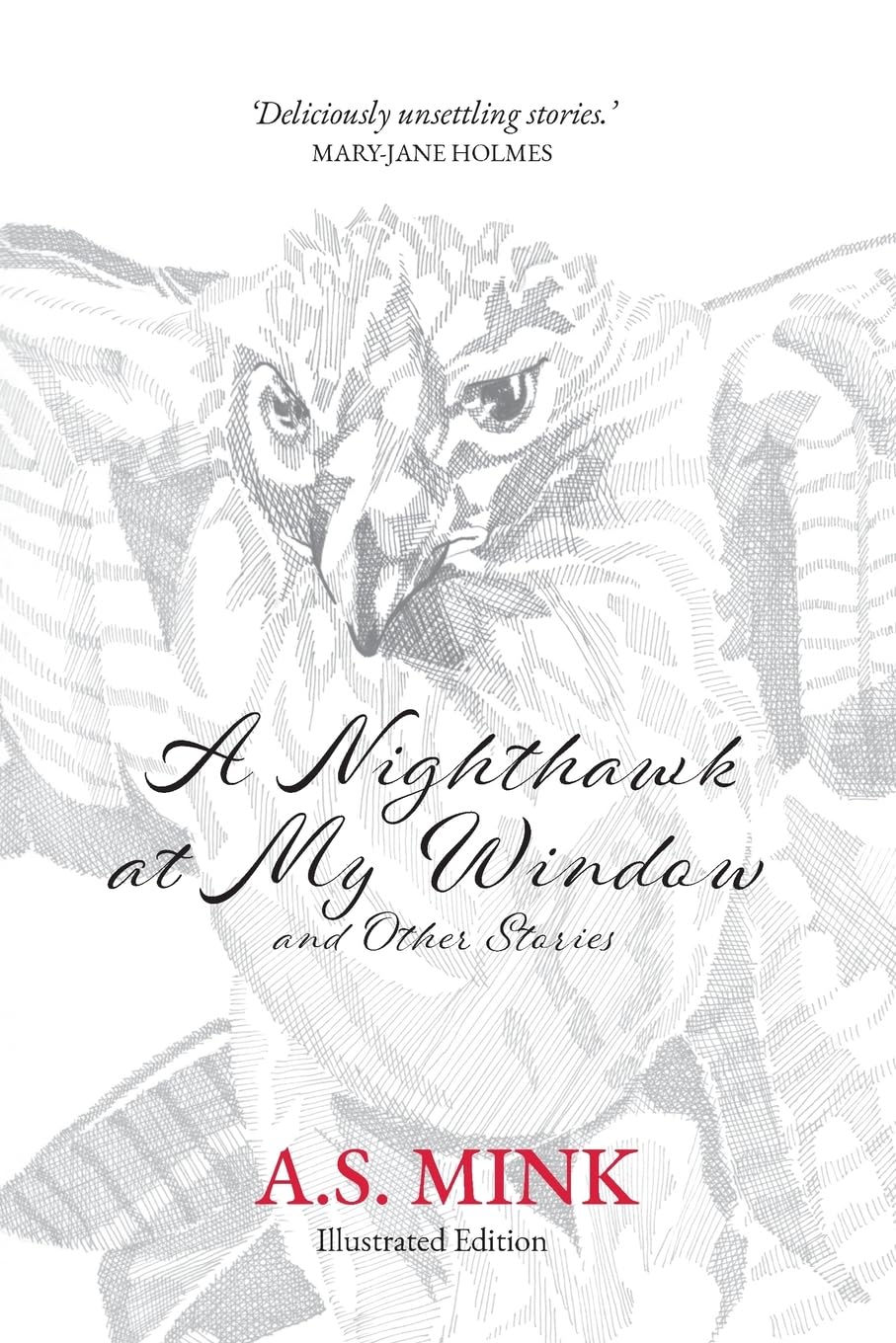 A Nighthawk at My Window and Other Stories (Illustrated Edition): Deliciously unsettling stories