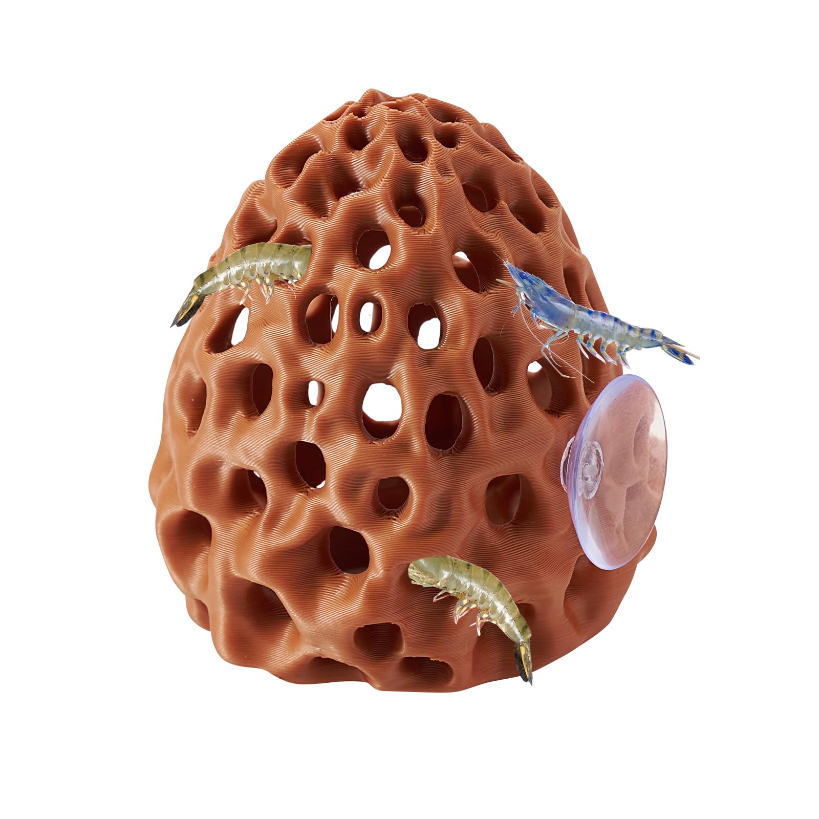 Boxili Brown Shrimp Dome Hide With Suction Cup, Shrimps Resting Hideout Cave, Aquarium Decor Accessories For Betta Small Fish Guppy (Brown)