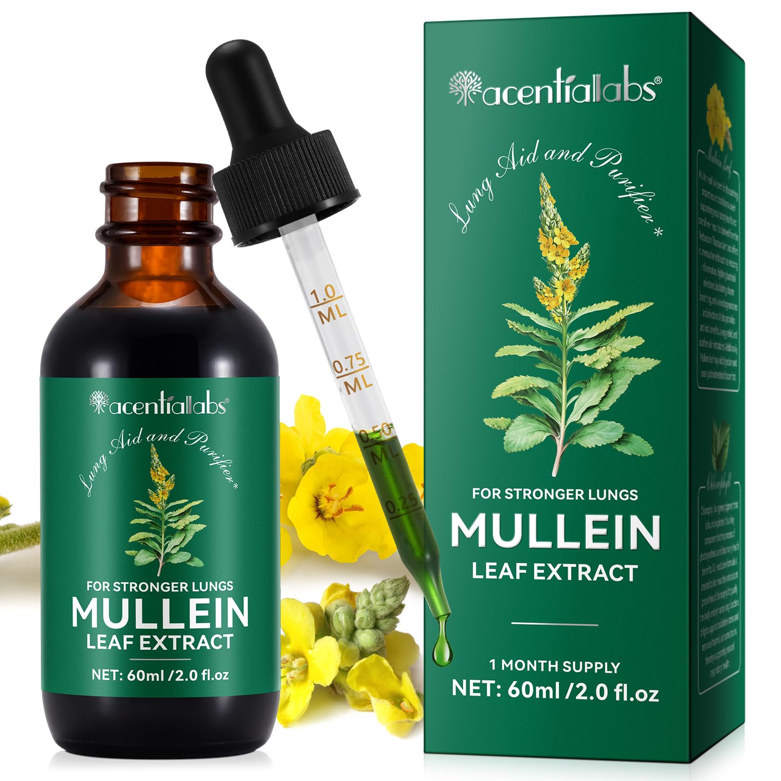 Mullein Leaf Extract for Lungs | Mullein Drops for Lungs with Chlorophyll | Lung Cleanse, Respiratory Support, Boosts Immunity, Digestive Wellness | 60ml