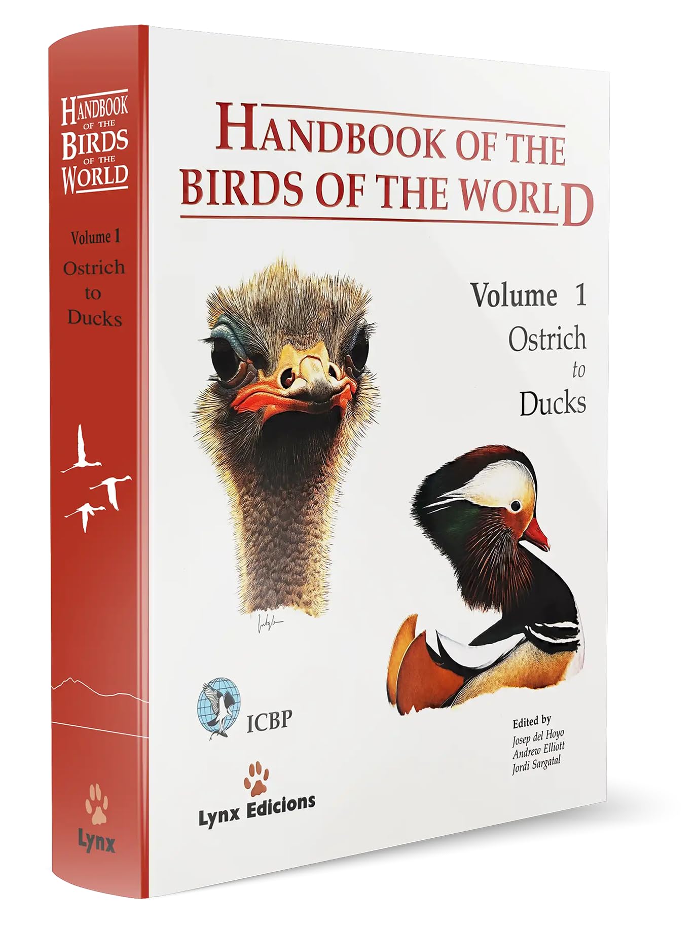 洋書 HANDBOOK of the BIRDS of the WORLD 71FsFqfU08L.jpg