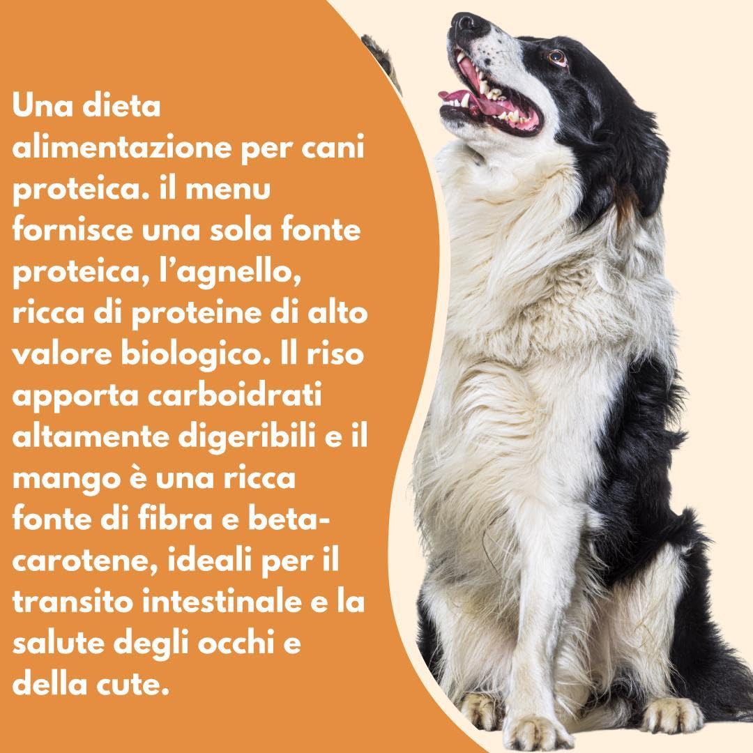 Natural Code - Comida húmeda para perro número 408, sabor cordero, arroz y mango. Alimento completo en pelusas para perros adultos de todas las tallas y razas en lata. 6 latas de 400 gramos cada una