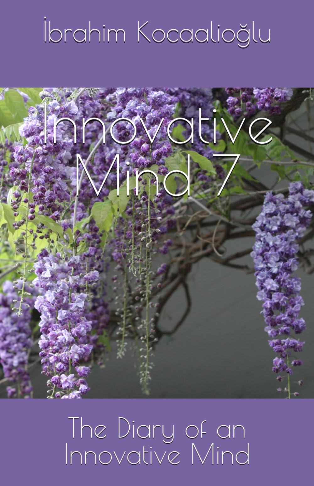 Innovative Mind 7: The Diary of an Innovative Mind
