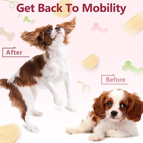 Miniatura 8 de Glucosamina para perros, suplemento articular para perros, condroitina, MSM, cáñamo, cúrcuma, Omega 3 para aliviar el dolor y la salud de la piel,