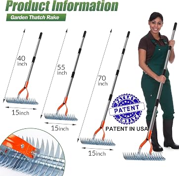 Walensee Thatch Rake ، 15 بوصة Lawn Thatching Rake ، Robust Dethatcher Rake ، Efficient Steel Metal Rake with Handle ، Multiatile Grass Grooming Rake for Cleaning Dead Grass ، Yard Garden Durable Soil Rake