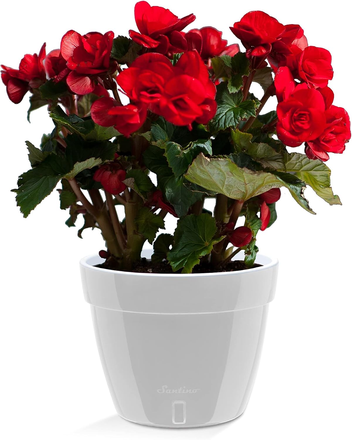 Santino ASTI 7.1 Inch Self Watering Planter for Indoor Plants - Image 3