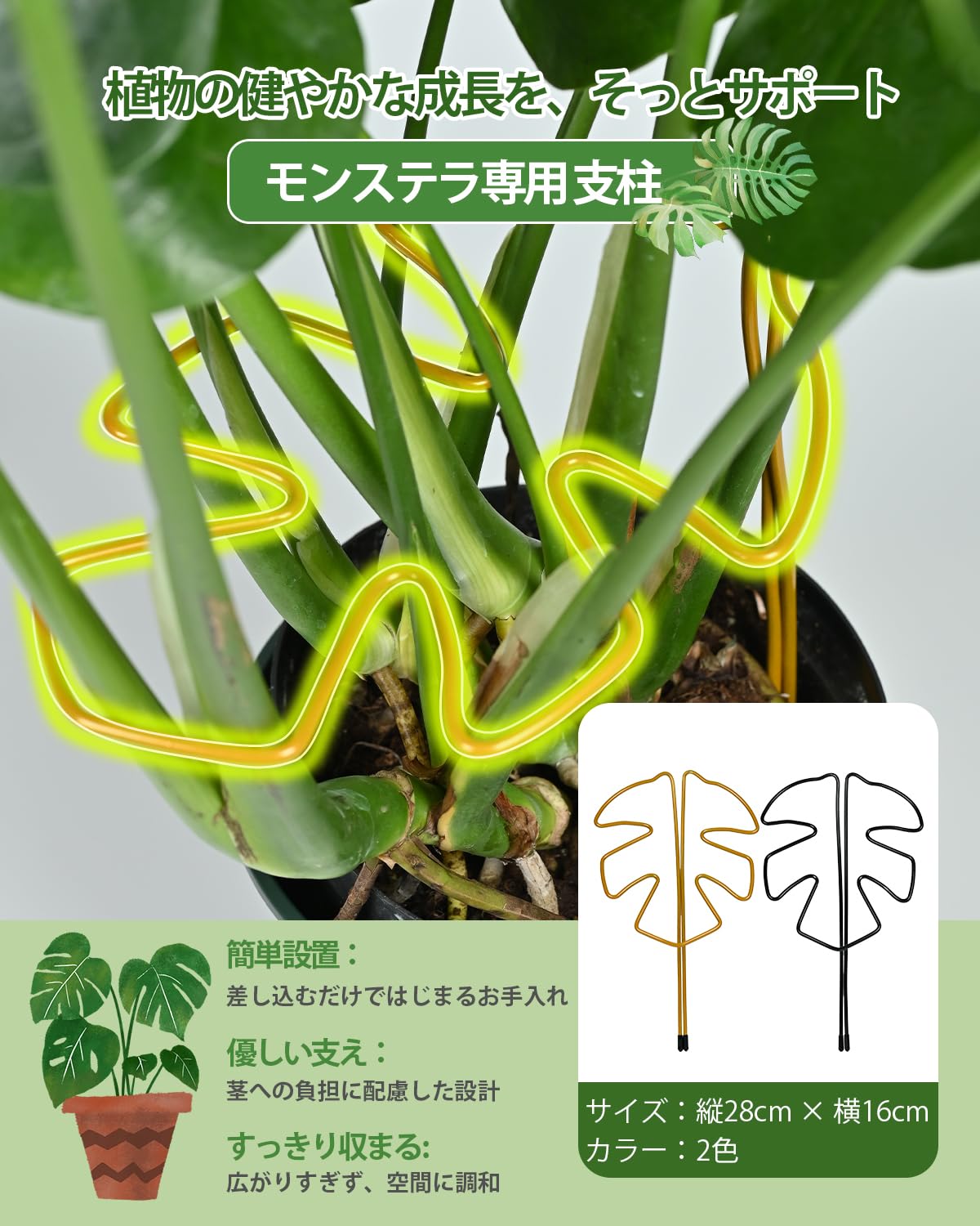 Amazon | モンステラ 支柱 Suptopwxm 観葉植物 支柱 ワイヤータイプ