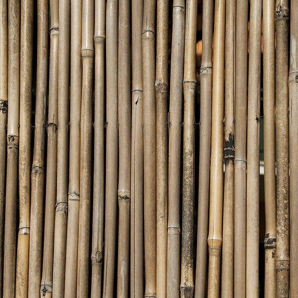 ARELLA CANNICCIO BAMBOO STUOIA CANNETTE RILEGATE Ø14-18mm CANNA PULITA 3x1m