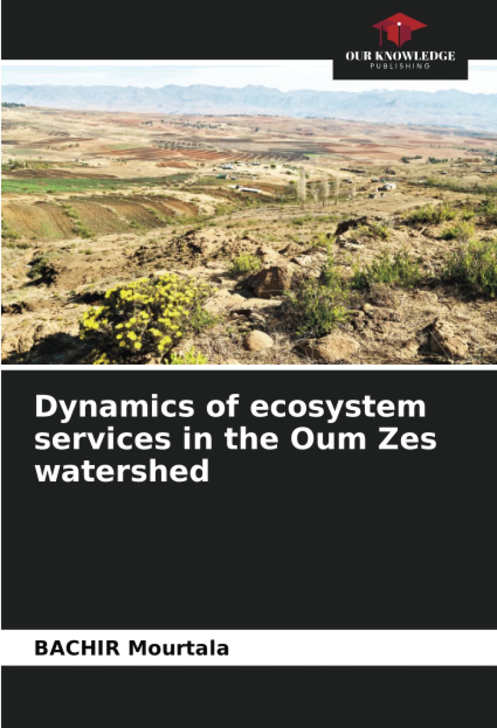 Dynamics of ecosystem services in the Oum Zes watershed