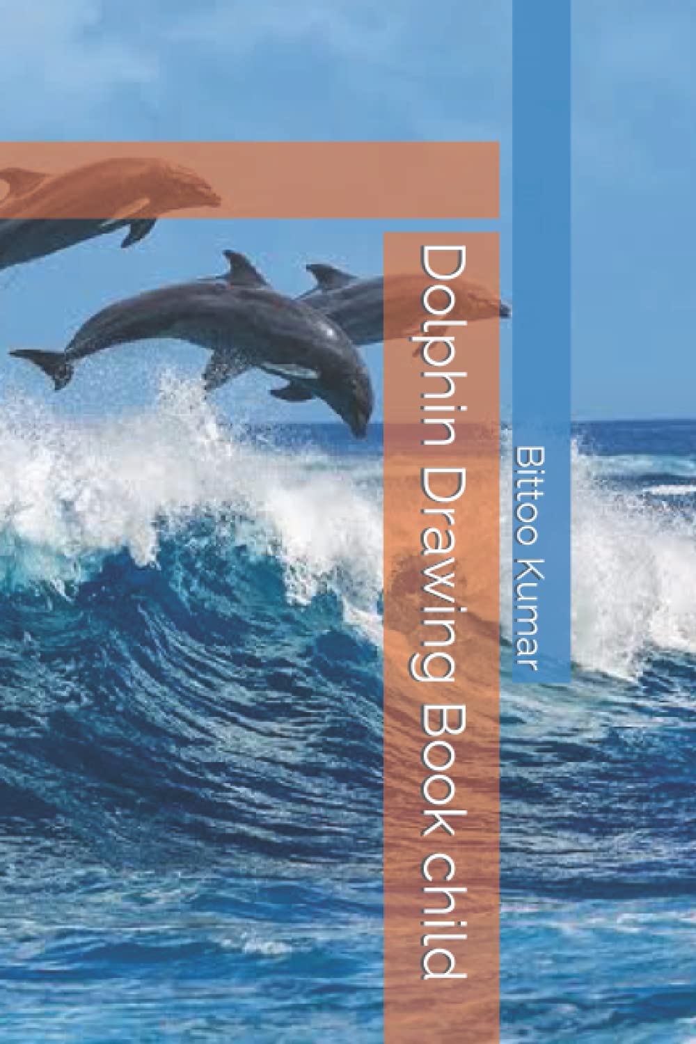 Dolphin Drawing Book child