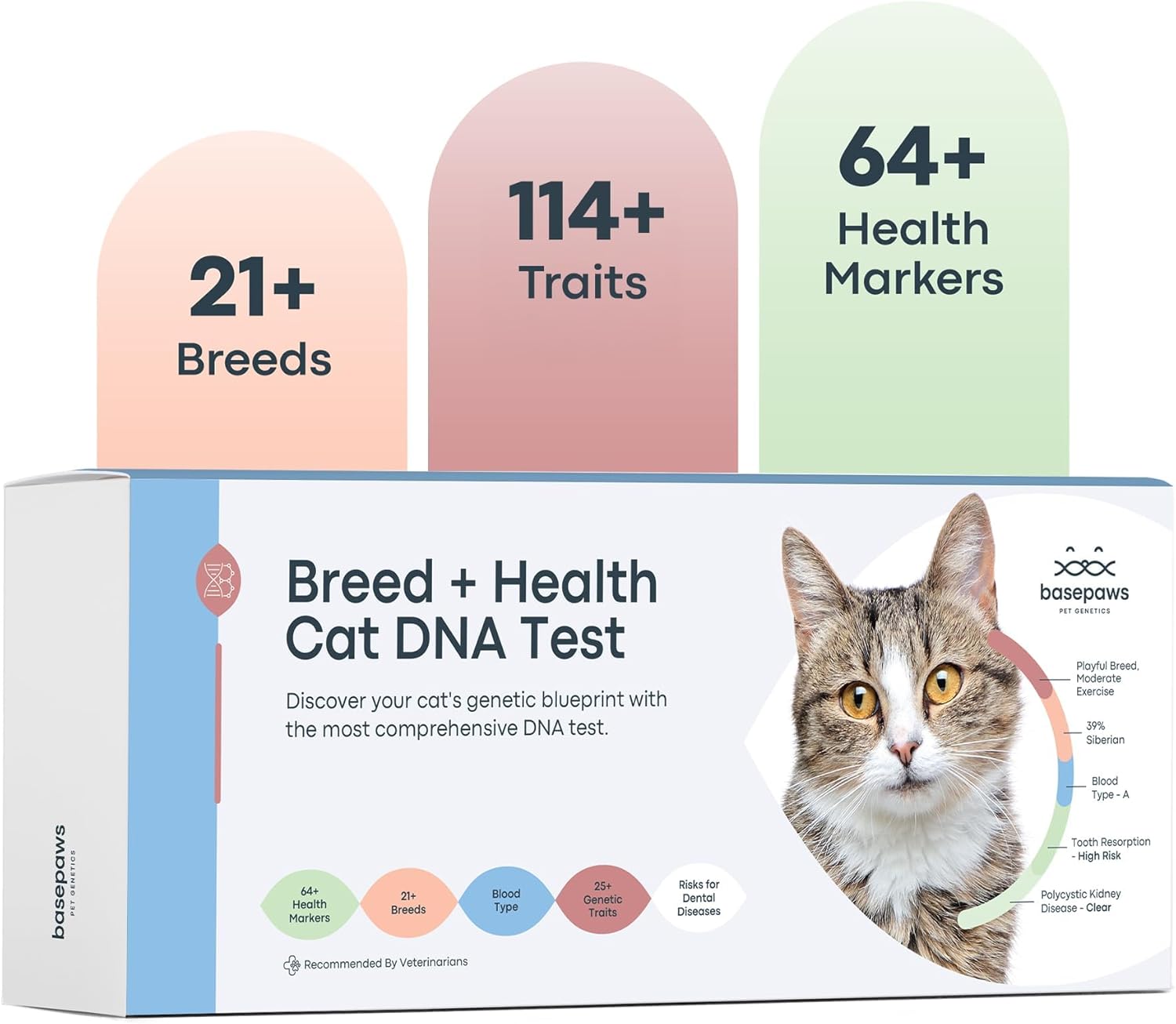 Pet DNA Testing: Surprising Insights for Early Disease Detection