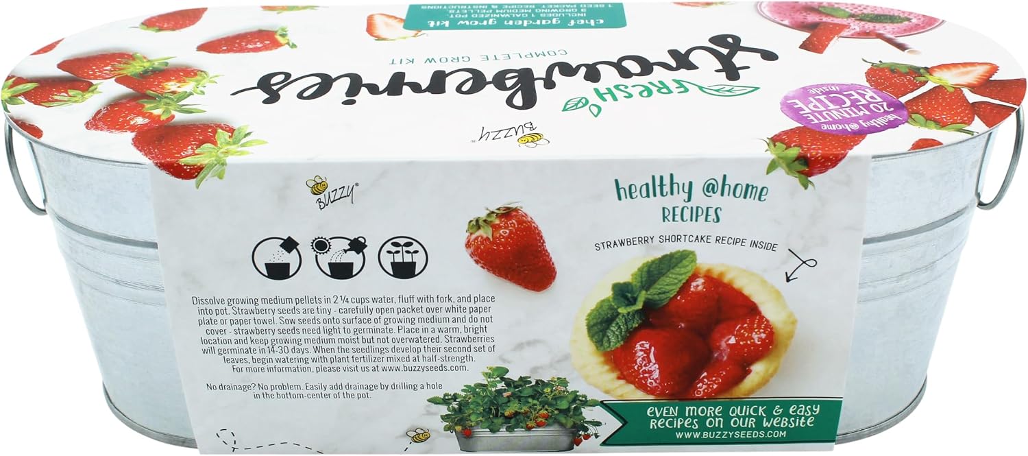 BUZZY Seeds 2-Pack Windowsill Grow Kits, Strawberry and Organic Herb Gardening Set with Basil, Cilantro, Chives, Non-GMO Seeds, Growing Medium and Planters, Housewarming Gift Idea