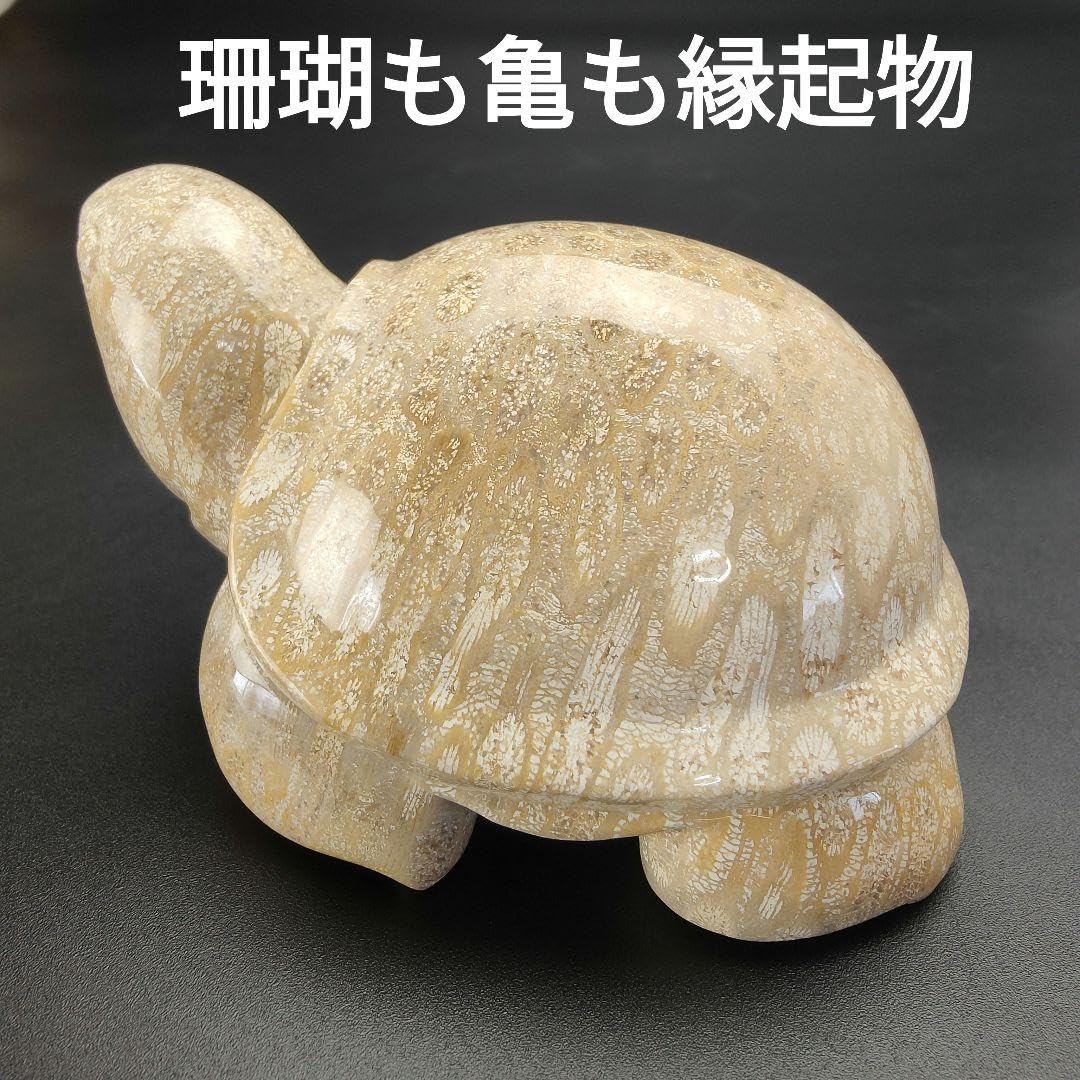 1 サンゴの化石 亀 (大) 天然石 菊目石 珊瑚 コラール 縁起物 魔除け