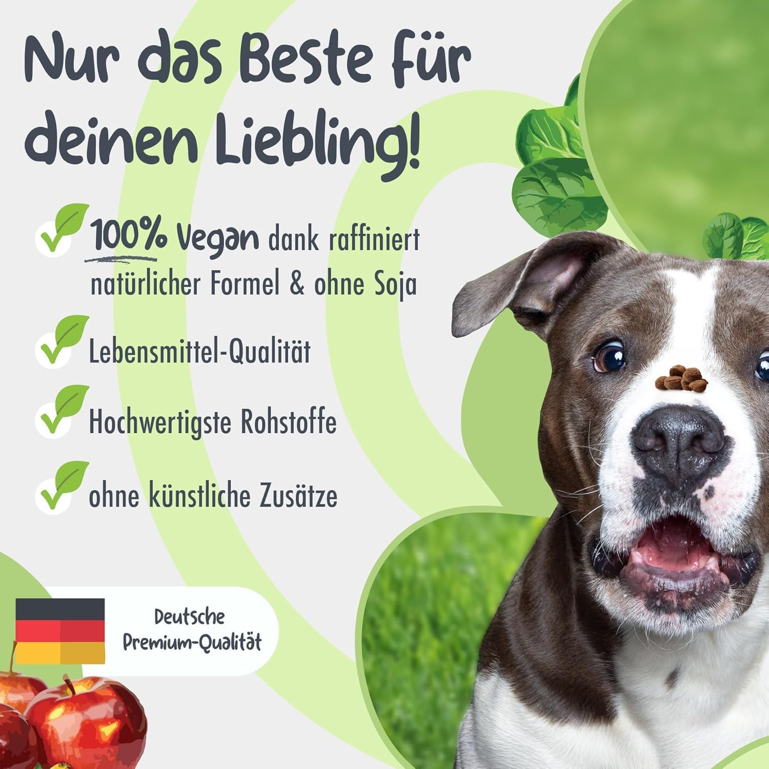 Powerstar Planty Crunch Hundefutter vegan 2x5000g - allergikerfreundlich | Getreide- und sojafrei mit Carnitin - Vitamin B12 und D3 - für Hunde mit Futtermittelallergie - Trockenfutter