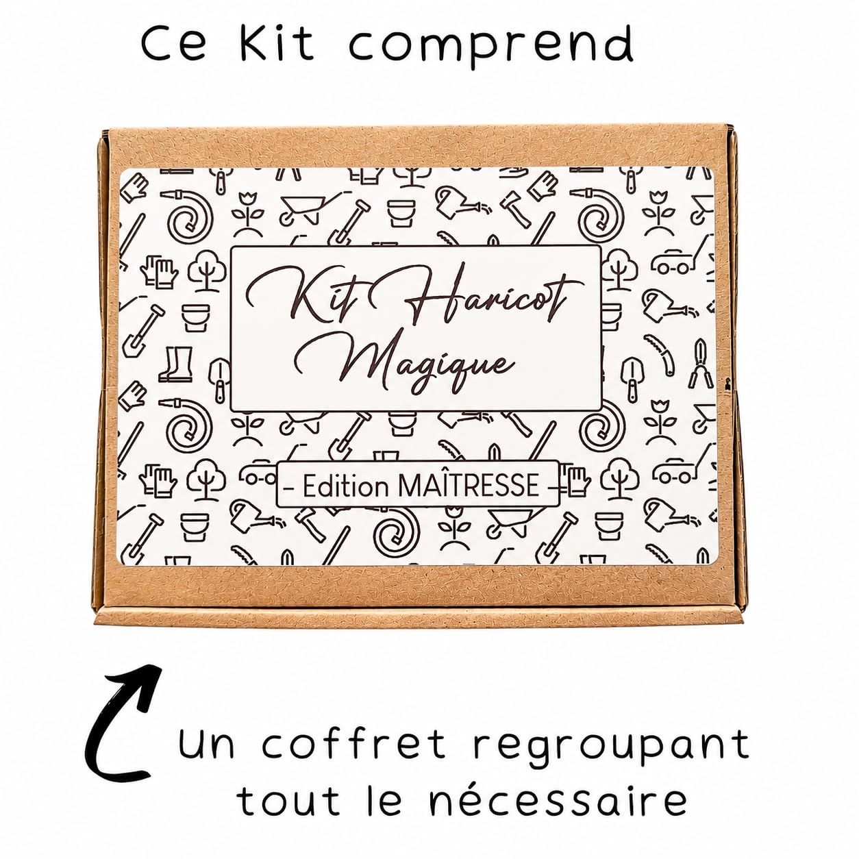 Générique Kit Haricot Magique à Planter Message Gravé MERCI – Cadeau Remerciement Maîtresse Institutrice – Fin d'Année Scolaire École – Souvenir Poétique Original