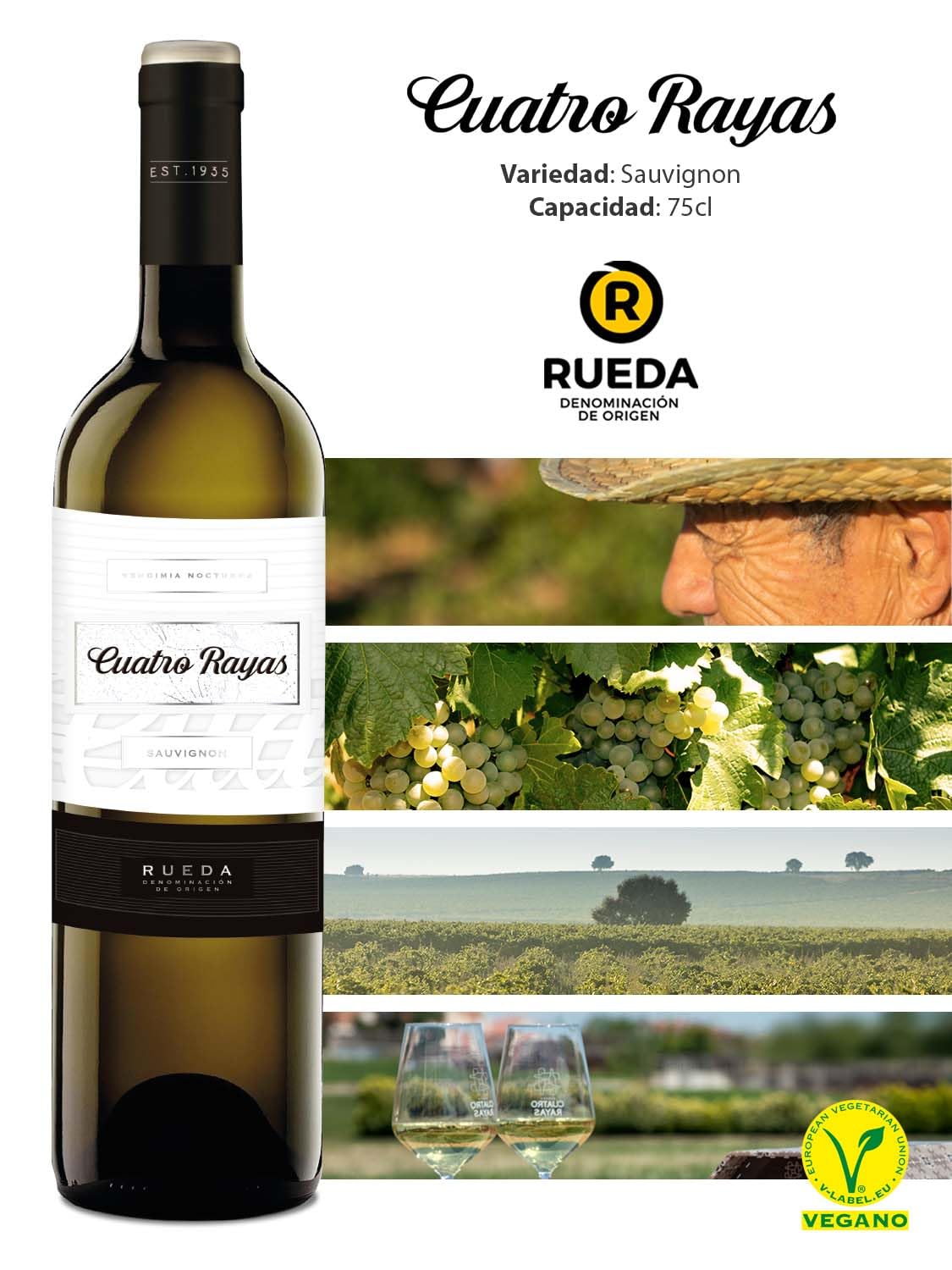 CUATRO RAYAS Sauvignon - Vino Blanco DO Rueda (6 Botellas x 750ml)
