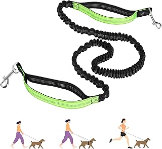 Laisse 3-en-1 à Double Poignée Rembourrée Élastique pour Chiens – 1,6m à 2,2m, Laisse Canicross Chien Accessoire pour Chiens Moyens, Idéale pour Courir, Marcher, Randonner & Voyager