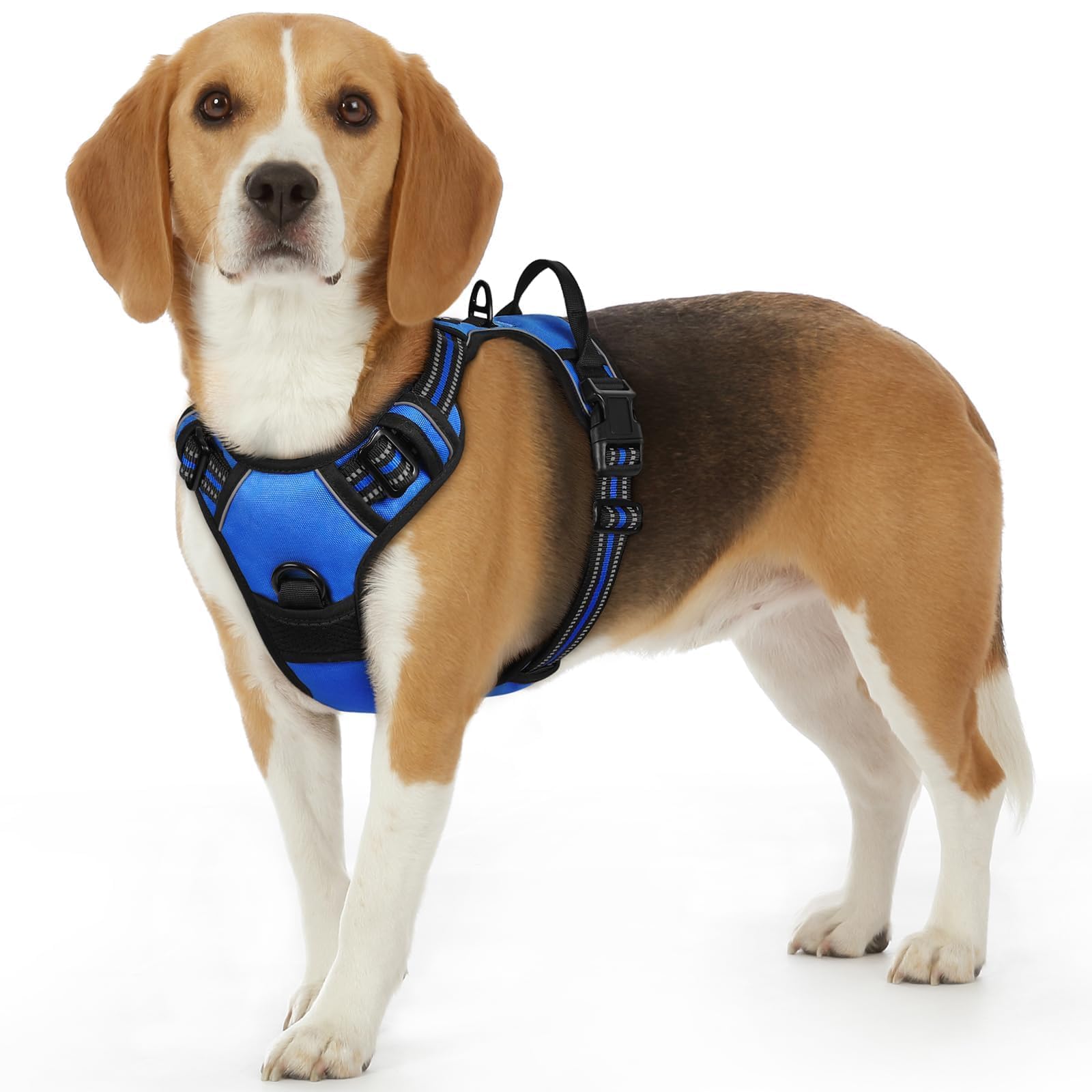 Eagloo Pettorina Cane Taglia Piccola, Pettorina ad h Antifuga, Imbracatura per Cani Anti Tiro con Doppio Gancio, Imbracatura Robusto e Regolabile per Addestramento Passeggiate, S, Blu