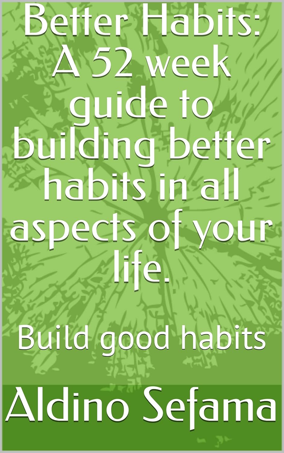 Better Habits: A 52 week guide to building better habits in all aspects ...