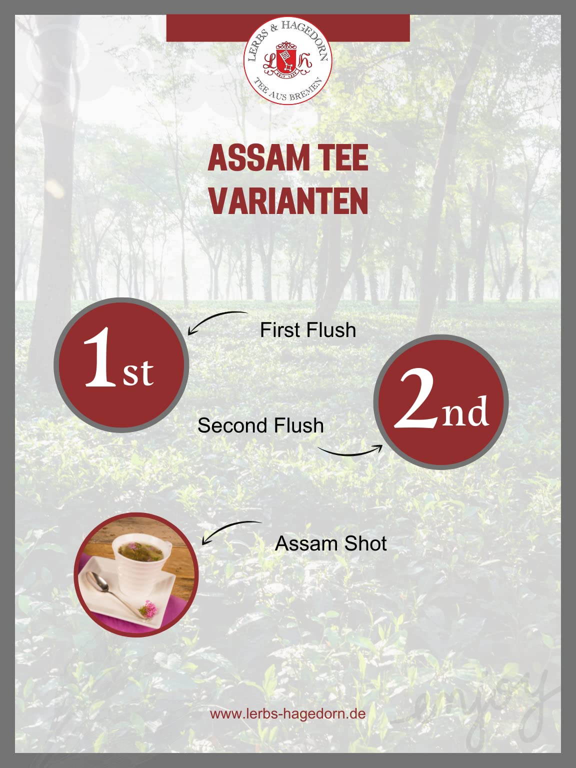 Lerbs & Hagedorn Bremen Assam FTGFOP1 Tonganagaon 1 kg Bio Tee Tasche