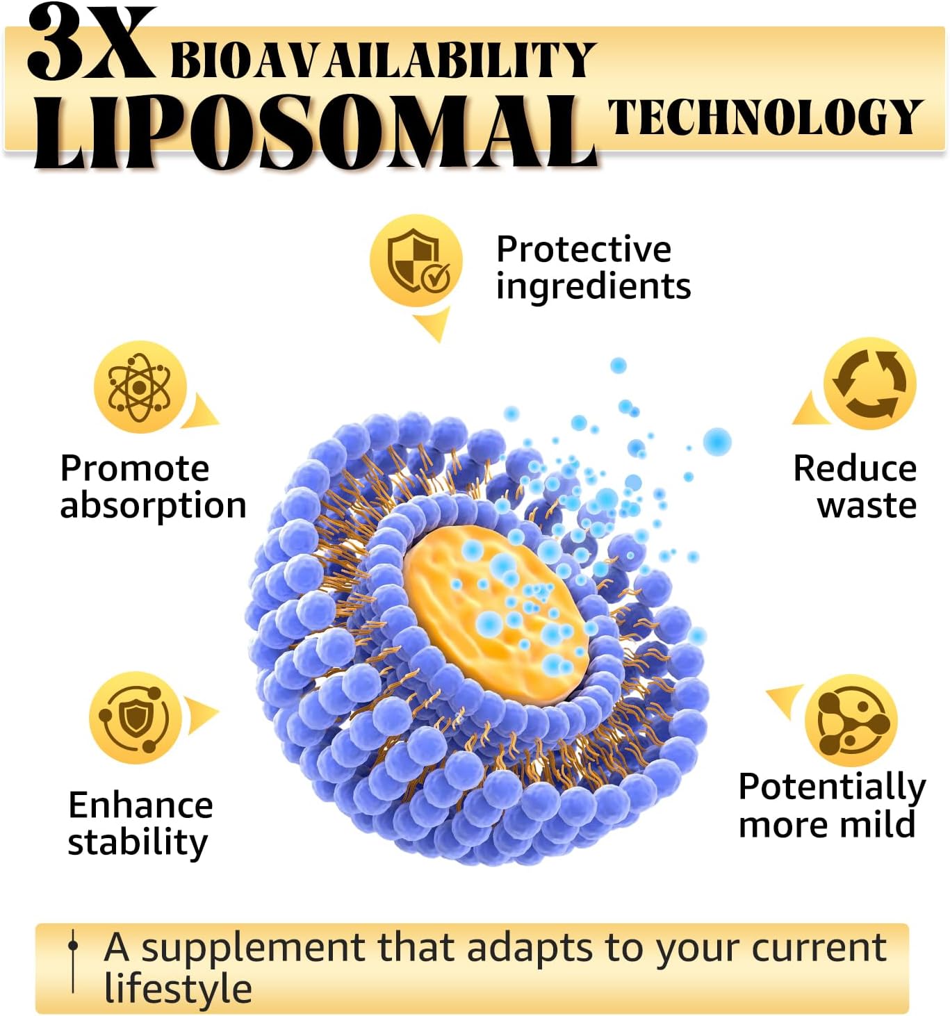 Berberine Supplement with Ceylon Cinnamon, Metabolic Support Formula for Daily Balance, Liposomal Berberine for GLP-1 Lifestyle Support, 600mg, Vegan, Non-GMO, 120 Capsules - Image 5