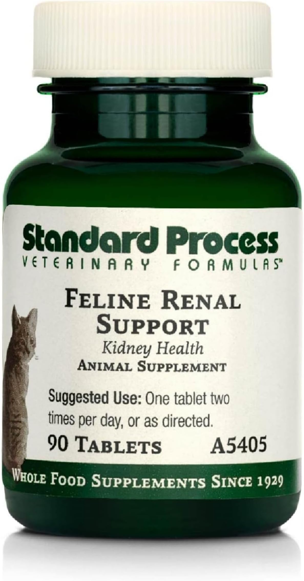 Standard Process Feline Renal Support, 90 Tablets | Cat Supplement to Maintain Kidney and Urinary Health, Feline Supplement to Aid Renal Function